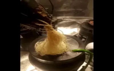 Raíz y Floraflex!!!