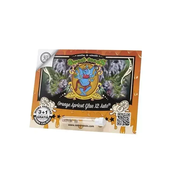 Orange Apricot Glue Xl Auto