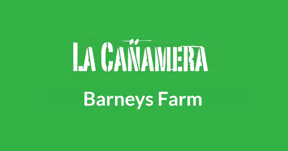 La Cañamera » Barneys Farm