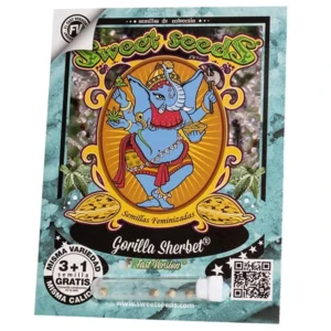 Gorilla Sherbert Fast