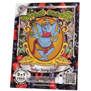 Indigo Berry Kush Fem