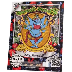 Indigo Berry Kush Fem