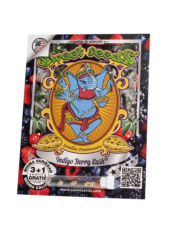 Indigo Berry Kush Fem
