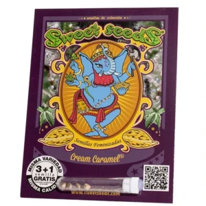 Cream Caramel FEM