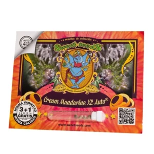 Cream Mandarine Xl Auto