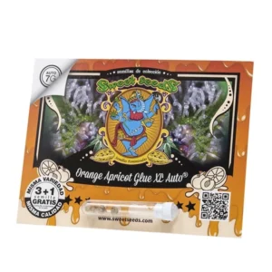 Orange Apricot Glue Xl Auto