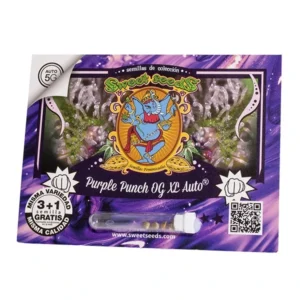 Purple Punch Og Xl Auto