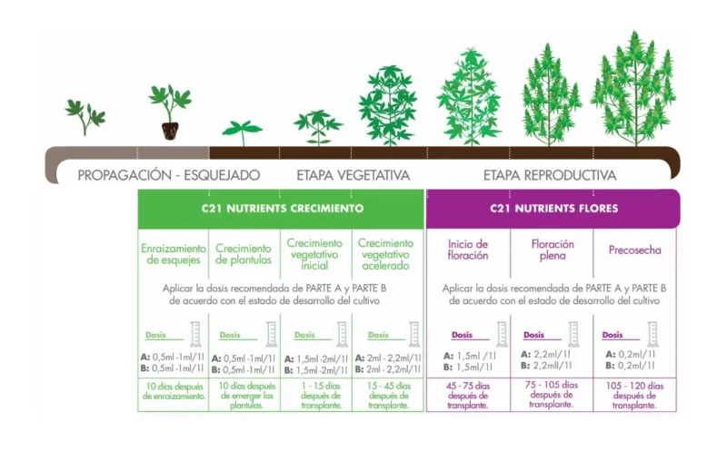 C21 Nutrients Flores - Imagen 2