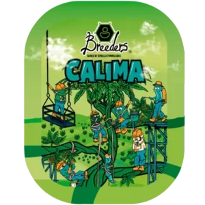 Calima