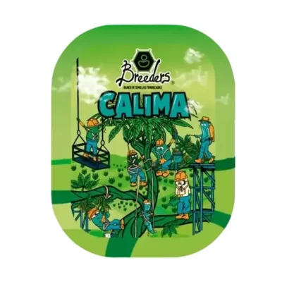 breeders-calima La Cañamera - Tienda Grow Shop - Brain Cake