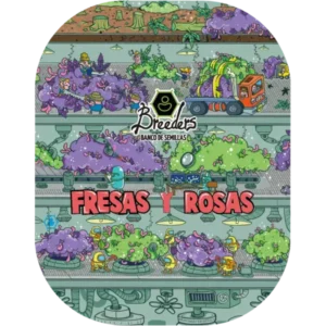 Fresas y Rosas