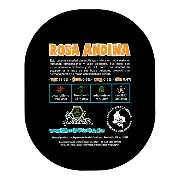 Rosa Andina - Imagen 4