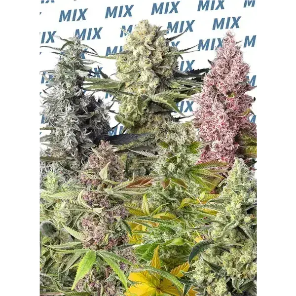 Sweet Mix - Imagen 2